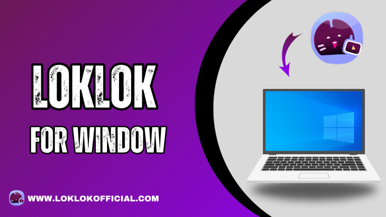 Loklok For Window